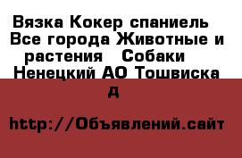 Вязка Кокер спаниель - Все города Животные и растения » Собаки   . Ненецкий АО,Тошвиска д.